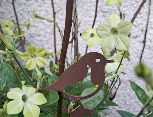 Metal robin in brown